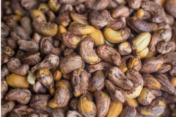 Orzechy nerkowca w skorupce