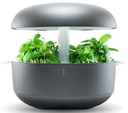 Inteligentny ogródek Plantui 6