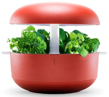 Inteligentny ogródek Plantui 6