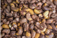 Orzechy nerkowca w skorupce